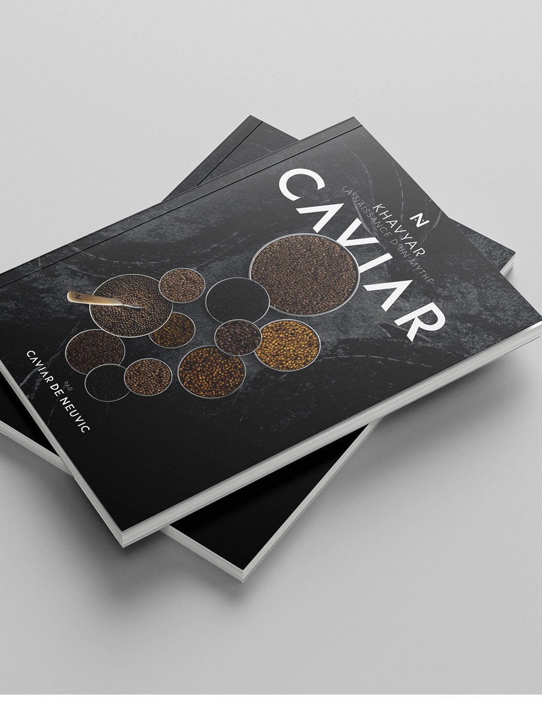Livre « Khavyar : la naissance d’un mythe »